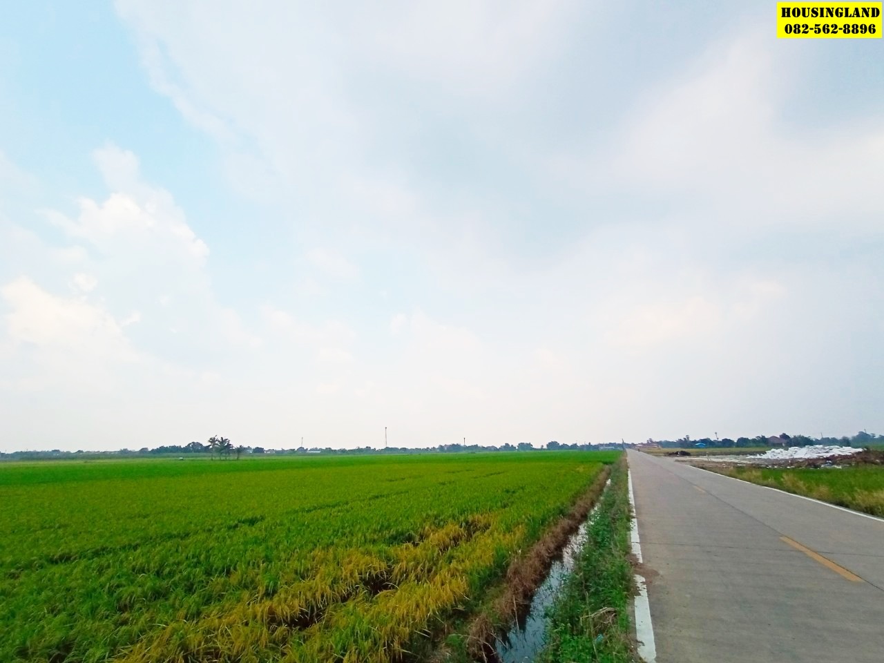 ขายที่ดินทำเลทอง ซอยคลองห้าซอยตะวันตก 58 ถนนเลียบคลองห้า ตำบลคลองห้า อำเภอคลองหลวง จังหวัดปทุมธานี 